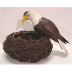 WARD, ZACK WOODEN EAGLE CARVING