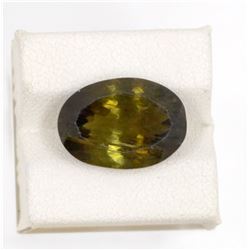 9.33ct Green Tourmaline Oval Cut