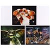 Image 1 : Lot of (3) Mark Dodson Signed 8x10 Photos Inscribed "The Gremlins!"  "Keep Laughin'!" (Legends COA)