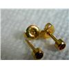 Image 2 : EARRINGS - "STUDEX" - GOLD PLATED - JANUARY BIRTHSTONE