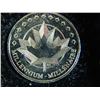Image 3 : ESTATE - 1999-2000 CAN. NICKLE STAMP SET - IN CASE