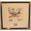 Image 1 : FRAMED WARD BROS. WATERFOWL STAMP & PRINT