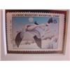Image 5 : CHARLES ROWE 1981 DUCK STAMP & PRINT
