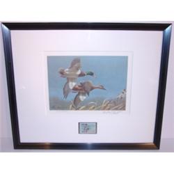 PLASSCHAERT 1980 FEDERAL DUCK STAMP & PRINT