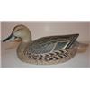 Image 4 : PR. OF WARD BROS. 1964 HALF-SIZE PINTAIL DECOYS