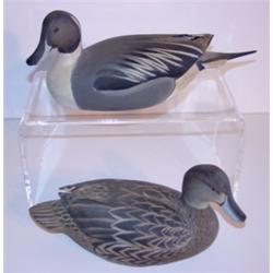 PAIR OF WARD BROS. 1965 HALF-SIZE PINTAIL DECOYS