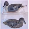Image 1 : PAIR OF WARD BROS. 1965 HALF-SIZE PINTAIL DECOYS