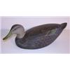 Image 1 : WARD BROS. 1944 BLACK DUCK DECOY
