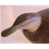 Image 3 : WARD BROS. 1944 BLACK DUCK DECOY
