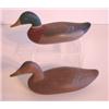 Image 1 : PR. OF MINIATURE EASTERN SHORE MALLARD DECOYS