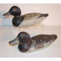 PR. OF MASON BLUEBILL DECOYS