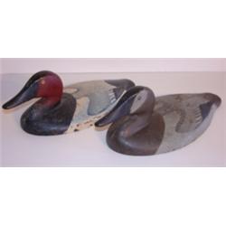 PR. OF CANVASBACK SINK BOTTOM DECOYS