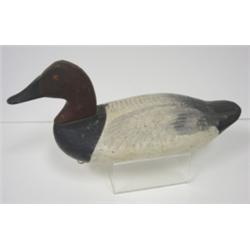 EARLY EASTERN SHORE CANVASBACK DECOY