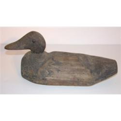 BLACK DUCK DECOY WITH TACK EYES