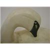 Image 3 : DECORATIVE SWAN DECOY