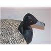 Image 3 : J.E. TYLER BLUEBILL DECOY