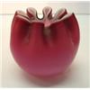 Image 1 : CRANBERRY ROSEBOWL
