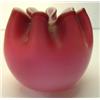 Image 2 : CRANBERRY ROSEBOWL