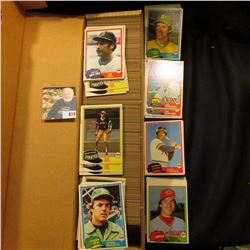 14" Card Stock Box full of 1981 Topps Baseball cards.