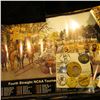 Image 1 : (3) Different Iowa Hawkeye Posters; (5) Different 1970-80 era Hawkeyes Pinbacks; & a Hawkeye 45 RPM 