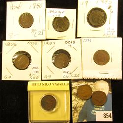 1890, 91, 92, 93, 95, 96, 97, 99, & 1900 Indian Head Cents. G-VG.