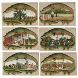 LOT OF 6 POSTCARDS FROM FLORIDA