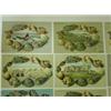 Image 2 : LOT OF 10 SHELL DEC. POSTCARDS