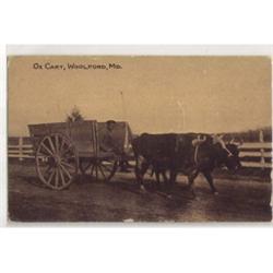 BLACK AMERICANA POSTCARD