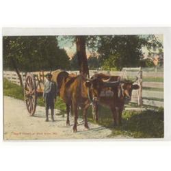 BLACK AMERICANA POSTCARD