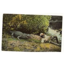 BLACK AMERICANA POSTCARD