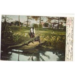 BLACK AMERICANA POSTCARD