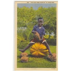 BLACK AMERICANA POSTCARD