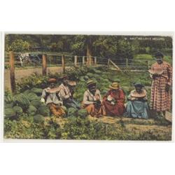 BLACK AMERICANA POSTCARD