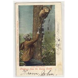 BLACK AMERICANA POSTCARD