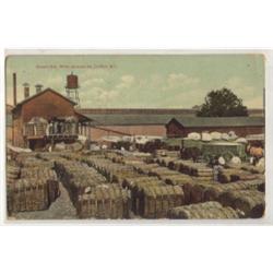 MISSISSIPPI COTTON POSTCARD