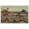 Image 1 : MISSISSIPPI COTTON POSTCARD