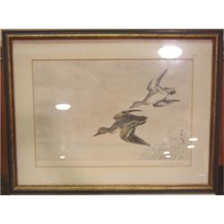 DANCHIN, L+ON COLOR WATERFOWL SKETCH