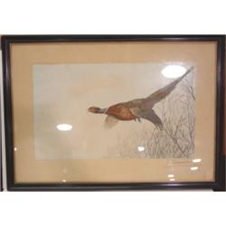 DANCHIN, L+ON COLOR GAME BIRD SKETCH