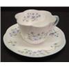 Image 1 : SHELLEY FLORAL DEC. PORCELAIN CUP & SAUCER