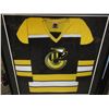 Image 1 : FRAMED 41 X 46" WHA CINCINNATI STINGERS JERSEY (B1)