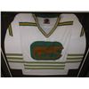 Image 1 : FRAMED 41 X 46" WHA CHICAGO COUGARS JERSEY (B1)