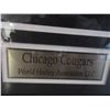 Image 2 : FRAMED 41 X 46" WHA CHICAGO COUGARS JERSEY (B1)