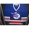 Image 1 : FRAMED 41 X 46" WHA TORONTO TOROS JERSEY (B1)