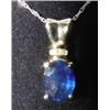 Image 1 : 14 KT. YELLOW GOLD SAPPHIRE & DIAMOND NECKLACE