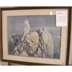 BATEMAN, ROBERT "EVENING LIGHT-WHITE CYRFALCON" PRINT