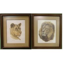 PR. OF COHELEACH, GUY LION PRINTS