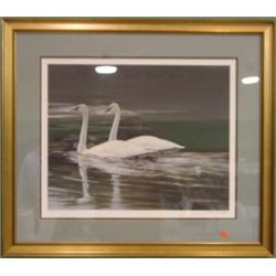 REESE, MAYNARD PRINT OF SWANS