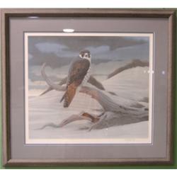 SLOAN, RICHARD FALCON PRINT