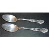 Image 1 : 2 LG. STERLING SERVING SPOONS