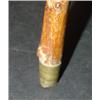 Image 3 : IVORY HANDLED WALKING STICK